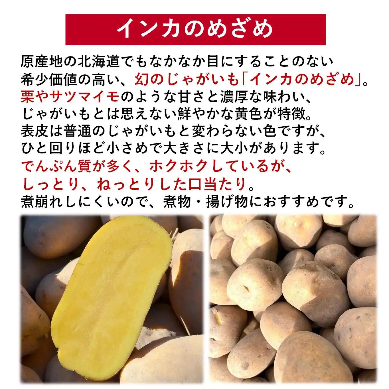 【先行予約】幻のじゃがいも インカのめざめ 約8kg 北海道壮瞥町産 8月下旬頃よりお届け  SBTO002