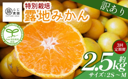 【3回定期便】ふじ農園の露地みかん 訳あり品 2.5kg(2S～M) 国産 小玉 蜜柑 ミカン 柑橘 果物 フルーツ 訳アリ ご家庭用 自宅用 ふじ農園 高知県 香南市 Wfn-0020