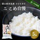 【ふるさと納税】 ＜6ヶ月定期便＞令和6年産富山県産特別栽培米コシヒカリ《こめ自慢》5kg 富山県 氷見市 米 こしひかり 特別栽培米 5kg