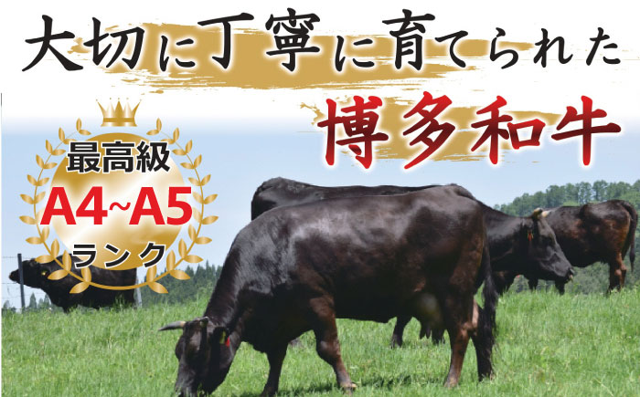 【和牛の旨味を堪能！】博多和牛 焼肉用 500g《築上町》【株式会社MEAT PLUS】 [ABBP012] 17000円  17000円 