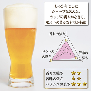 【日本ビール】 クラフトビール 明治維新 坂本龍馬 ピルスナー 330ml 12本 セット ビール ギフト 贈答 お酒 晩酌 沼津市