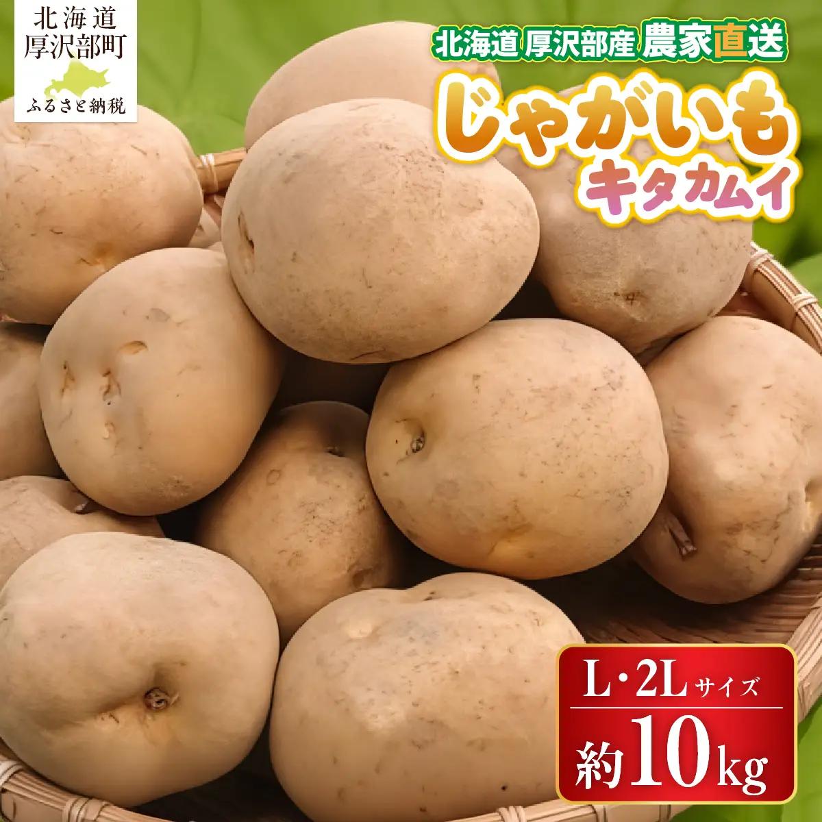 【2026年9月下旬より発送】北海道厚沢部町産 キタカムイ 10kg【L・2Lサイズ】 ASO032