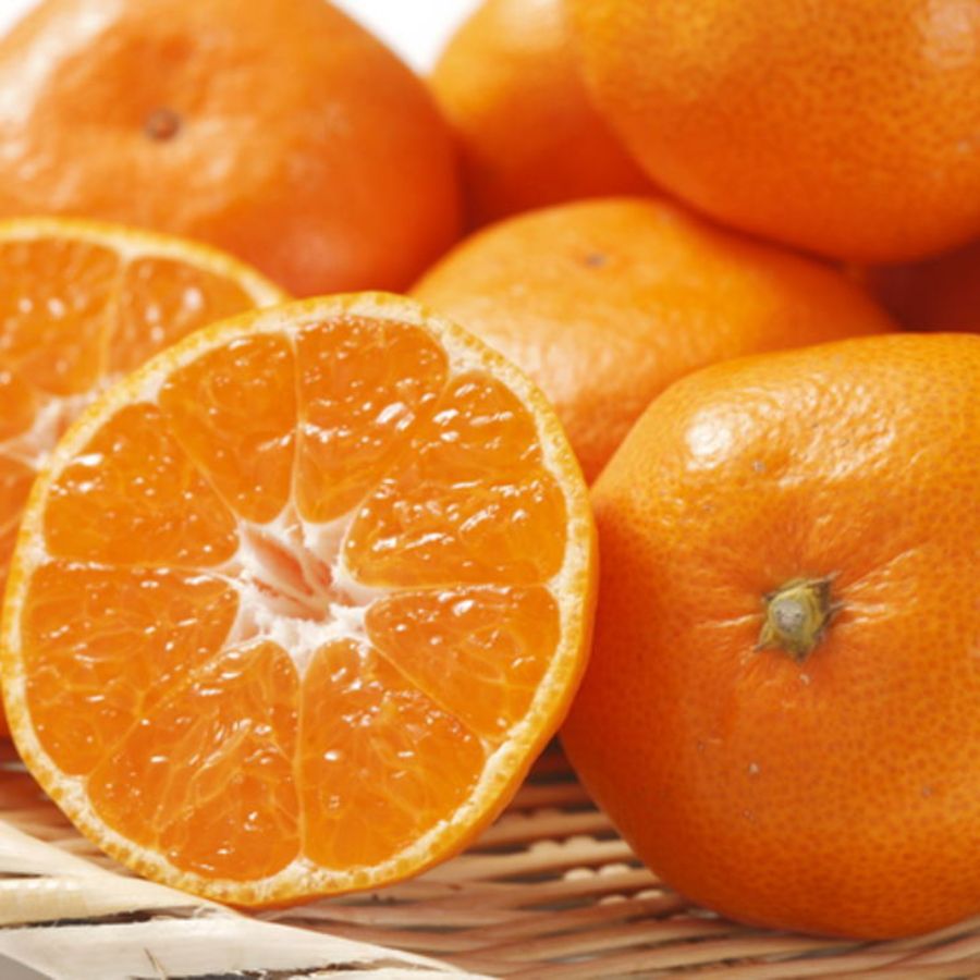 和歌山県産秀品セレクト旬のフルーツ定期便（4回）