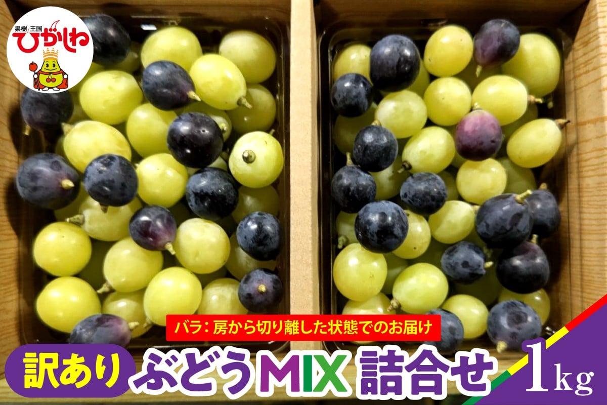 
            【2026年産】ぶどうMIX詰め合わせ 訳ありバラ 約1kg 山形県 東根市 松栗提供 hi062-067
          
