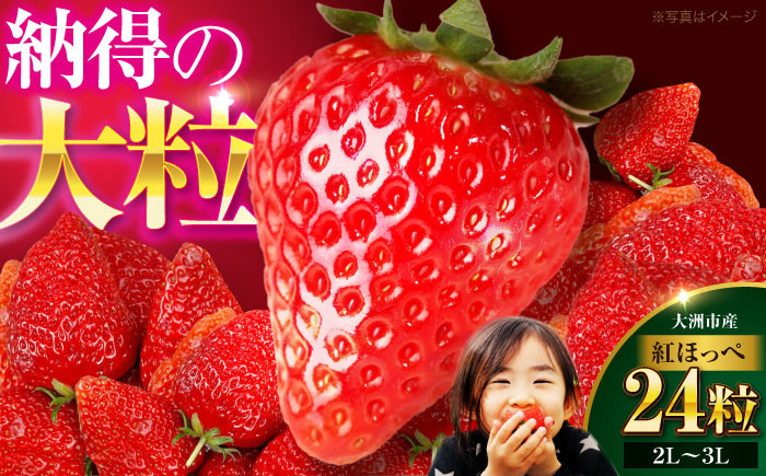 
                  いちご【先行予約】【2027年1月上旬から順次発送】紅ほっぺ ×24粒 果物 くだもの フルーツ 野菜 やさい いちご イチゴ 苺 ストロベリー 大粒 ジャム 愛媛県産 大洲市産 産地直送 高級 ご褒美 贅沢 おすすめ 人気 お取り寄せ 送料無料 贈答 ギフト 愛媛県大洲市/有限会社西山青果 [AGAR001]
                