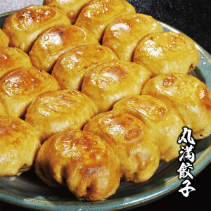 焼餃子三昧セット（MG）焼餃子10包み（20人前） ※着日指定不可 _CO16