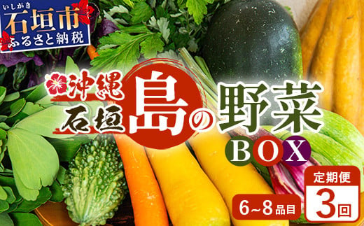 
            【３回定期便】石垣島産 野菜 BOX ≪定番・旬の野菜 ６~８種類≫（1箱×3回）季節ごとに野菜パワーをあなたに！！｜沖縄 石垣島 直送 旬 新鮮 島野菜 野菜セット 野菜 やさい 季節のお野菜 旬の野菜セット やさいセット 島野菜 島やさい 詰め合わせ 定期便 野菜定期便 CK-2
          