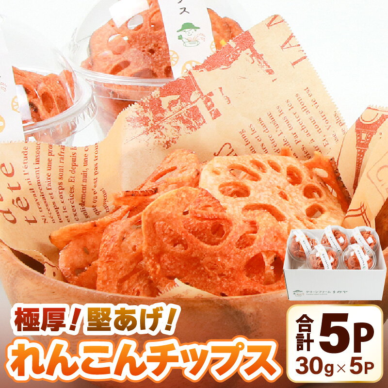 【ふるさと納税】【先行予約】【極厚】堅あげ！れんこんチップス 5カップ ／ 腸活 お菓子 チップス れんこん 小分け おすすめ サクサク【2026年11月上旬以降順次発送予定】
