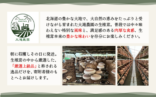 【先行受付】《数量限定》北海道恵庭産生しいたけ15個（桐箱入り）【800001】