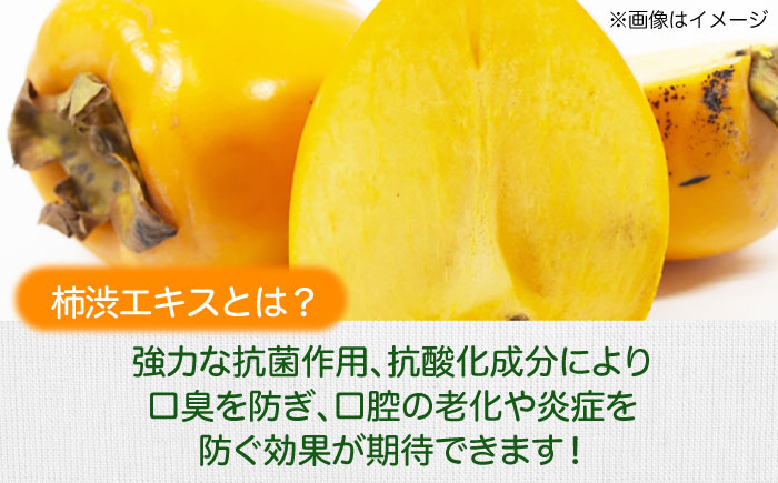 【全3回定期便】自然由来成分でお口スッキリ！なた豆＆柿渋　歯磨き粉　120ｇ×4本セット　ハミガキ粉 歯ブラシ オーラルケア 口腔ケア 歯周病予防 愛媛県大洲市/サンユー商店 [AGCS006]