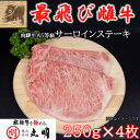 【ふるさと納税】【最飛び雌牛】飛騨牛A5等級サーロインステーキ　250g×4枚【配送不可地域：離島】【1520146】