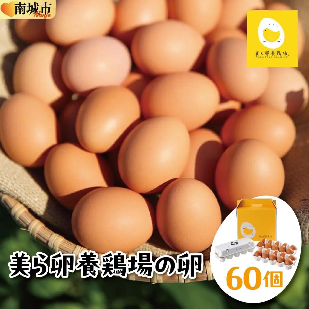 卵の黄身が掴めるほどの新鮮さ 美ら卵養鶏場の卵 60個【順次配送】   I  たまご タマゴ  卵 美ら卵 養鶏場 美ら卵 新鮮  養鶏場  60個  沖縄県 南城市