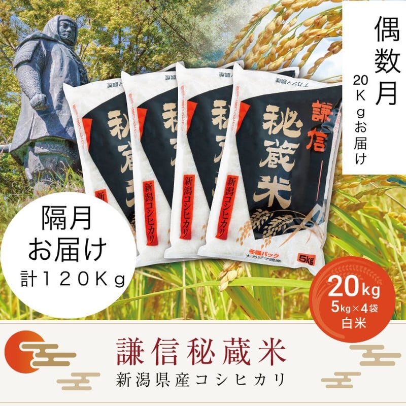 
            令和7年産 新潟県産 コシヒカリ 定期便 偶数月発送（20kg×6回分） 謙信秘蔵米 真空 窒素挿入 冬眠パック 精白米 お米 上越市 上越産 上越米 上杉謙信
          