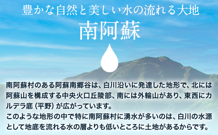 【3ヶ月定期便】白川水源 ミネラルウォーター タンク式  10L×2ケース ×3回《お申込み翌月から出荷》熊本県 南阿蘇村 物産館自然庵 水 ミネラルウォーター 飲料水 飲み水 南阿蘇