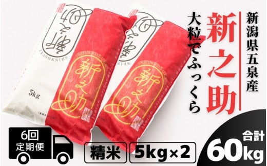 【令和7年産新米】 〈6回定期便〉 新之助 精米 10kg（5kg×2袋） 新潟県 五泉市 有限会社ファームみなみの郷