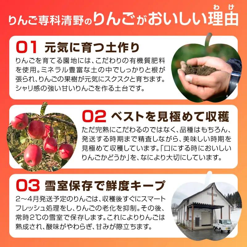 《先行受付》贈答規格「サンふじ」「ラフランス」「はるか」約5kg詰合せ（特秀～秀）【2026年12月上旬～発送予定】【大江町産・山形りんご・りんご専科 清野】 015-065