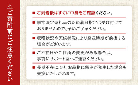 【2024年6月下旬～順次発送】 大村マンゴー 約800g (2L×2個) / 大村市 / 県央リサイクル開発[ACBC001] アップルマンゴー まんごー 南国フルーツ アップルマンゴー まんごー 