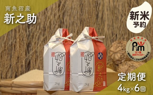 【新米予約】令和８年産「五つ星お米マイスター」の南魚沼産新之助　精米４kg（２kg×２個）×６回（毎月定期便）【定期便 銘柄米 ブランド米 精米 新之助 魚沼産 新潟米 産地直送 お米】【2026年10月下旬から1ヶ月以内に順次発送予定】