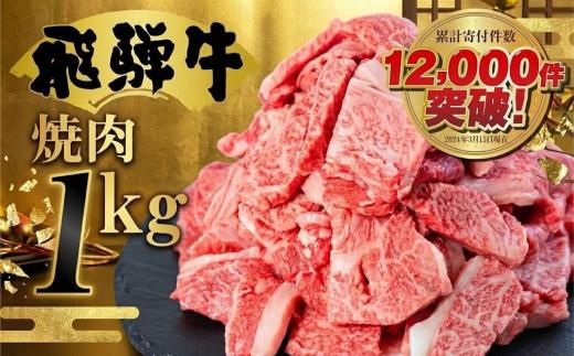 【人気急上昇】【4月発送】牛肉 訳あり 飛騨牛 焼肉用 切り落とし肉 1kg 25000円 訳アリ 焼き肉用 切り落とし 切落し 牛肉 肉 バーベキュー BBQ セット 和牛 焼肉 部位おまかせ ごち