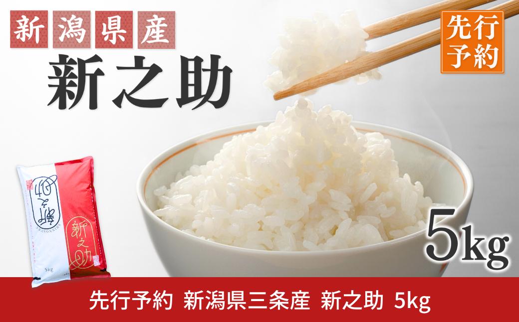 
                  先行予約 新潟県三条産新之助 5kg×1袋 令和8年産新之助 精米 新潟県産新之助 【017S140】
                