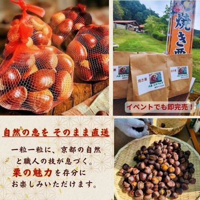 京都府綾部産 丹波栗焼き栗 計400g【配送不可地域：離島】【1733646】