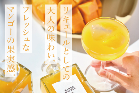 マンゴー リキュール 「MANGO WONDER 002」1本｜お酒 フルーツ 沖縄県 豊見城市(DT002)