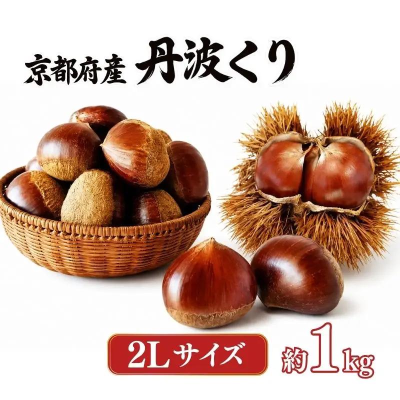 丹波くり 約1kg 2Lサイズ 栗 京都