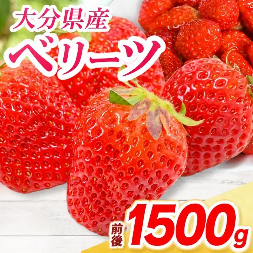 ベリーツ × 6パック ( 約1500g ) ( 1パック/250g前後 ) | いちご ベリー フルーツ 果物 産地直送 大分県 中津市
