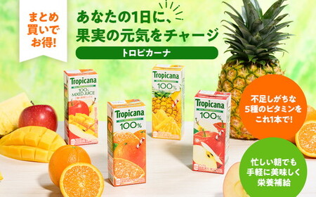 トロピカーナ　100％　アップル　250mlLLスリム×24本 