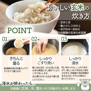 【先行予約】栃木県 下野市 コシヒカリ 玄米 20kg 米 	 																											　米
