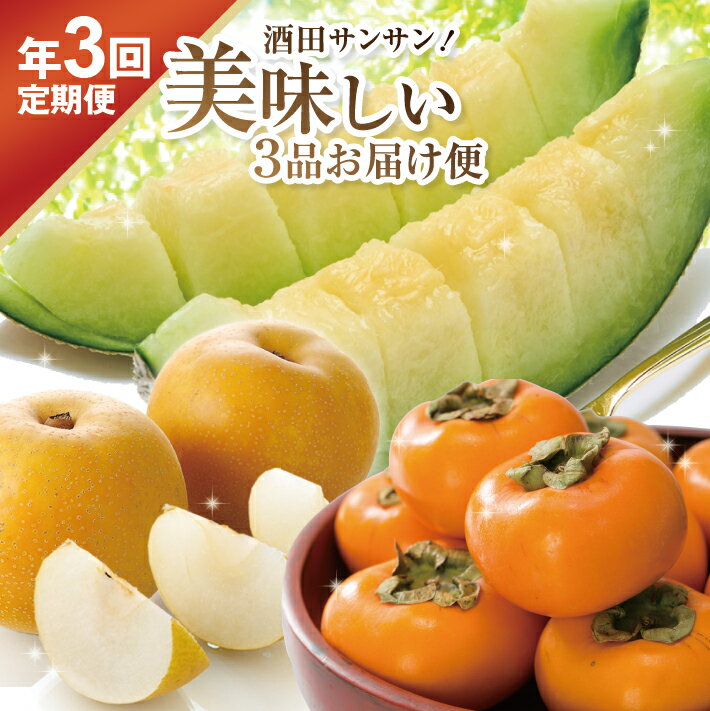 【ふるさと納税】≪3回定期便≫ 酒田サンサン！美味しい3品お届け便2025 6月下旬〜7月下旬:アンデスメロン 8月下旬〜9月下旬:刈屋梨 10月中旬〜11月下旬:庄内柿 計3回 山形県酒田産 ※着日指定不可 頒布会 青肉メロン 梨 柿 くだもの 果物 フルーツ 夏 秋 旬 秀品