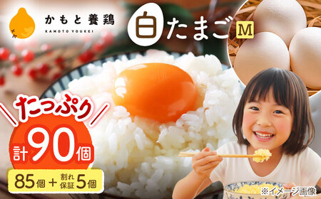 白たまごM玉卵90個(85個＋5個割れ保証)卵タマゴZCA001