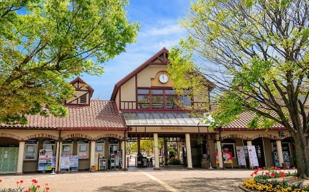 コアラのいる農業公園　淡路ファームパーク　イングランドの丘　入場券＆飲食利用券(大人１名用)
