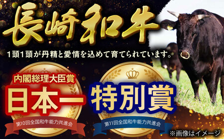 長崎和牛特選ハンバーグ150g×15[QAA038]