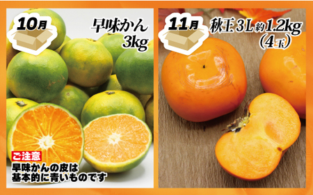 【定期便】福岡県ブランドフルーツ定期便（年４回） ブランド いちご いちじく みかん 柿 大人気 NO1 限定品 高級 フルーツ 果物 くだもの 特別 冷蔵 プレゼント 九州 福岡 宮若市 ふるさと納