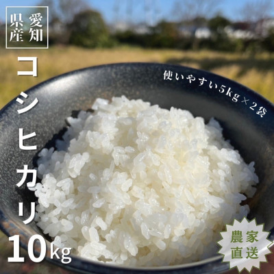 
            農家直送!令和6年度産低農薬コシヒカリ10kg(5kg×2袋)【1428167】
          