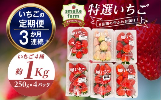 【2027年先行予約】＜いちごの定期便＞スマイルファーム 特選いちご 約1kg 3か月連続 FAF-0051