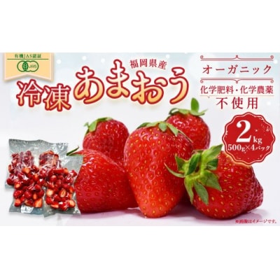 オーガニック冷凍あまおう 2kg (500g×4パック)【伊世いちご畑】_HA1316