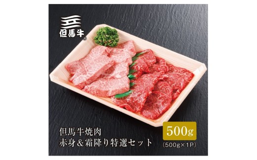 
                  ＜但馬牛＞焼肉 赤身&霜降り 特選セット500g【FARMEISTER平山牛舗FH02】
                