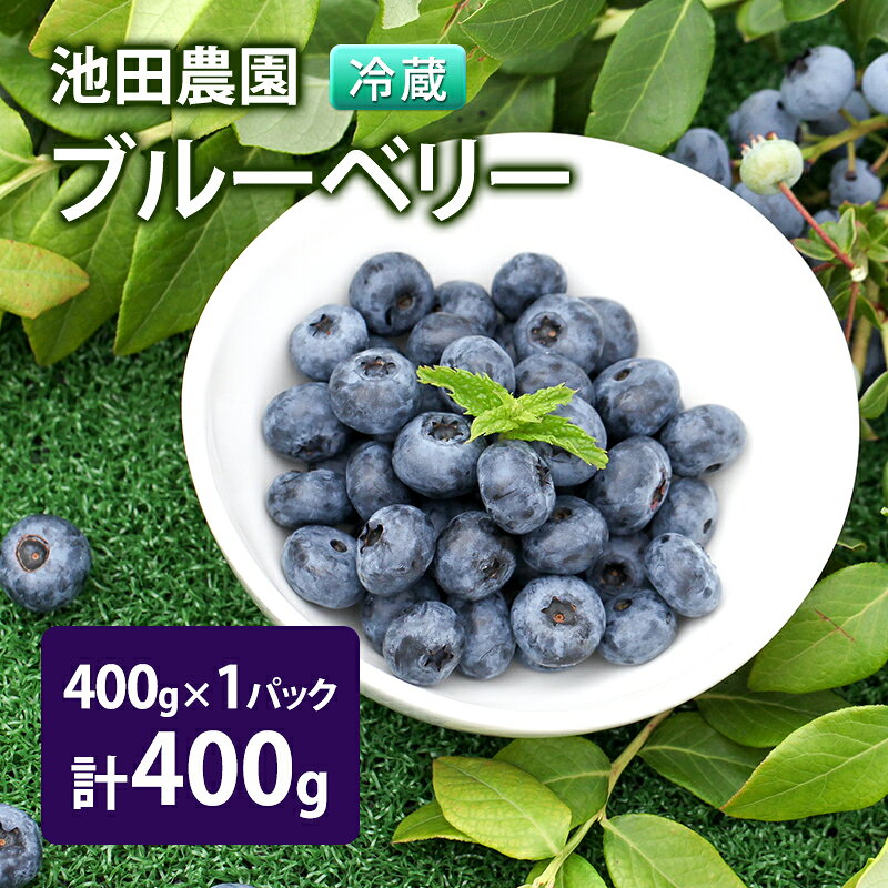 【ふるさと納税】【2027年夏配送】生 ブルーベリー 400g (400g×1パック) 池田農園 北海道 小分け 新鮮 フルーツ 果物 旬 旬のフルーツ 旬の果物 お取り寄せ 産地直送 朝ごはん デザート おやつ ヨーグルト 冷蔵 芦別市　お届け：2027年7月下旬～8月下旬