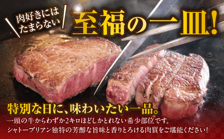 宮崎牛シャトーブリアンステーキ2枚(合計300g)_AG-N301_(都城市) 宮崎県 都城市 宮崎牛 シャトーブリアン ヒレ ステーキ 希少部位