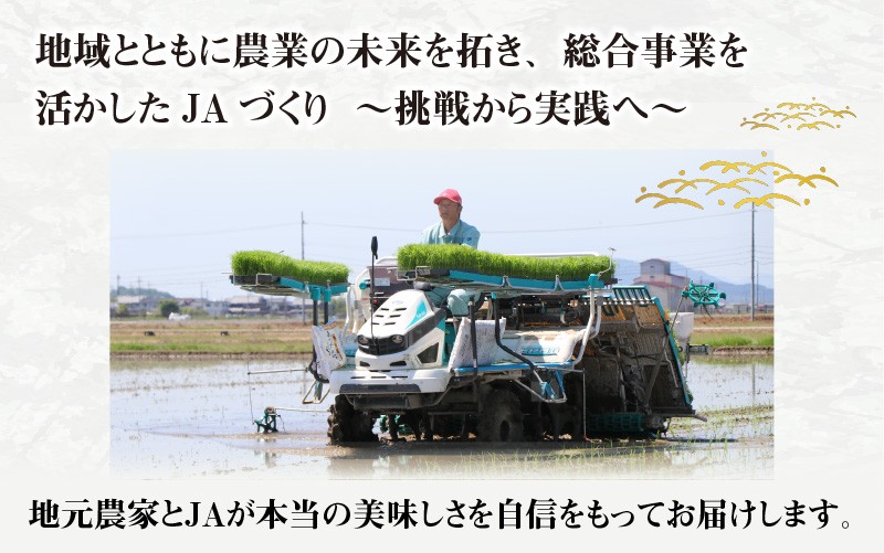 【令和8年産】BG無洗米 こしひかり 10kg ～ヌカでヌカを取る安心安全な精米方法で精米したBG無洗米～ 滋賀県多賀町