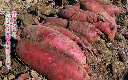 訳あり 紅はるか 10kg サイズミックス サツマイモ やきいも 焼き芋 甘い ねっとり 土付き 芋 いも 甘藷 べにはるか スイーツ 産地直送 ぽぷら愛南 愛媛県 愛南町
