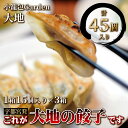 【ふるさと納税】小籠包専門店 野菜中心ヘルシー餃子 計45個入り (1箱15個入り×3箱) | おつまみ おかず 惣菜 中華 中国 台湾 飲茶 グルメ 本格 冷凍 簡単調理 ぎょうざ ギョウザ ギョーザ 送料無料 小籠包Garden大地※配送不可地域：離島