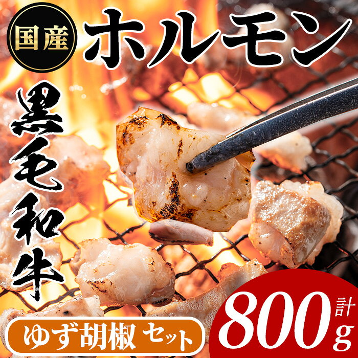 【ふるさと納税】国産黒毛和牛ホルモン(計800g・400g×2P or 200g×4P)&ゆず胡椒：1個 牛肉 BBQ 鍋 夕食 キャンプ 小分け 焼肉 もつ鍋 ホルモン【ナンチク】