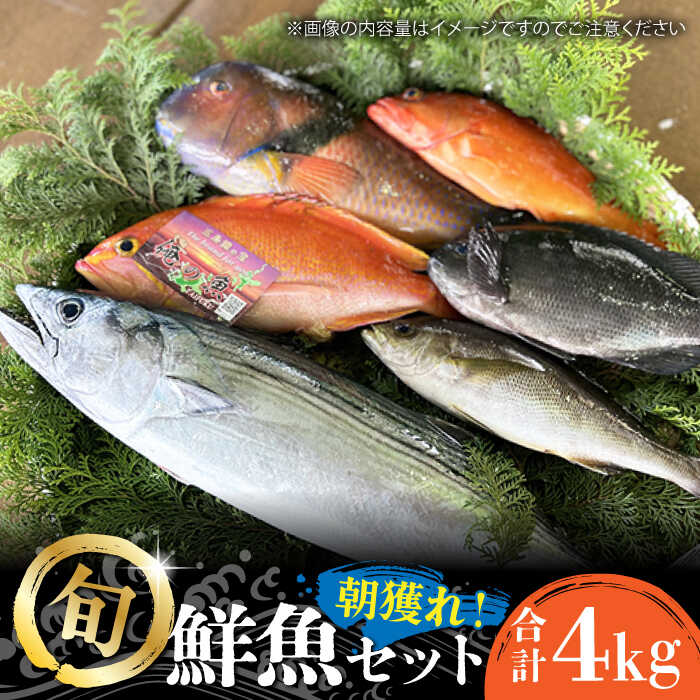 【ふるさと納税】【五島列島・直送】朝獲れ！鮮魚セット4kg 鯛福丸水産/五島市[PDP011] 魚 鮮魚 セット 海鮮 直送 さかな 詰合せ 冷蔵
