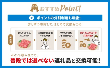 【あとから選べるカタログ】寄附500,000円(150,000円分ポイント)800品以上！あとからセレクト