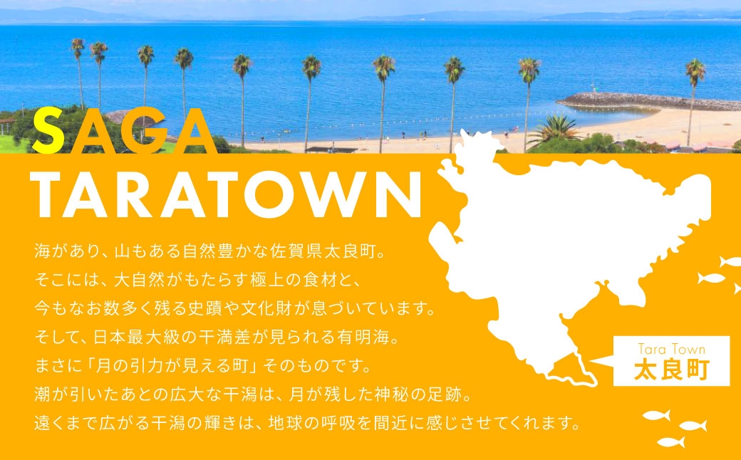 
O-53 山崎ハム　ハム詰め合せ
