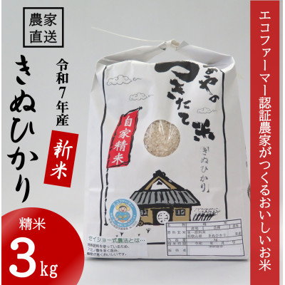 ★令和7年産新米★ 米「きぬひかり」3kg  (令和7年10月～順次発送)【1437622】