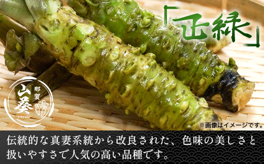 那賀わさび (正緑) 約200ｇ 2～4本 【徳島県 那賀町 生産者直送 産地直送 本わさび わさび ワサビ 生わさび 山葵 野菜 香味野菜 国産 正緑 薬味 調味料 万能 新鮮】FN-02
